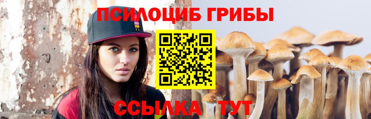 Псилоцибиновые грибы Magic Shrooms Бузулук